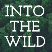 Open Call for Training Course “Into the Wild”
