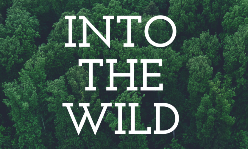 Open Call for Training Course “Into the Wild”